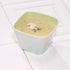 Cream of Mushroom Proti-15 Soup